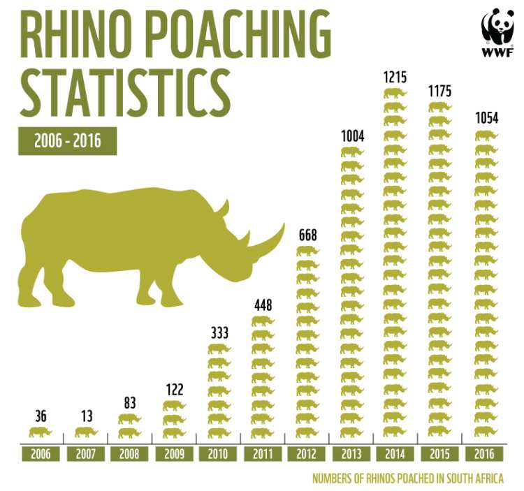 rhinograph 2016stats 2