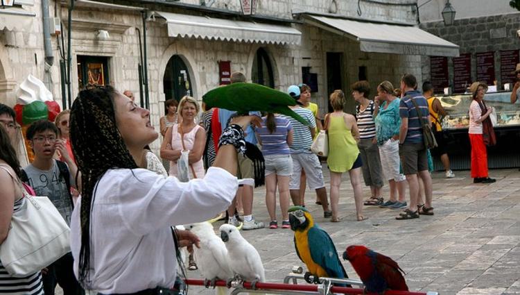 turizam dubrovnik mk