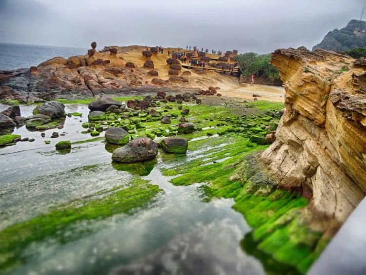 20210124T200044382Z yehliu geopark 8 Snapseed