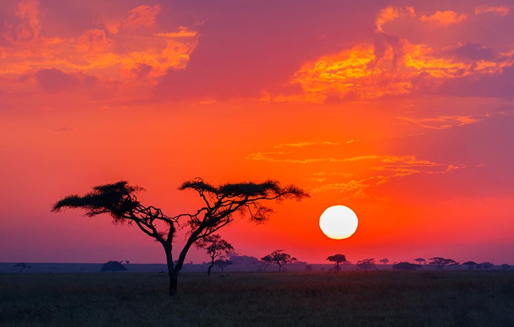 Amboseli 02