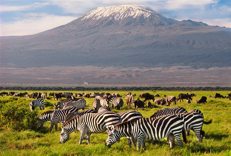 Amboseli 04