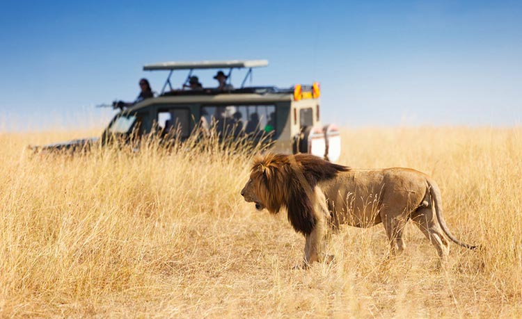 Amboseli 05