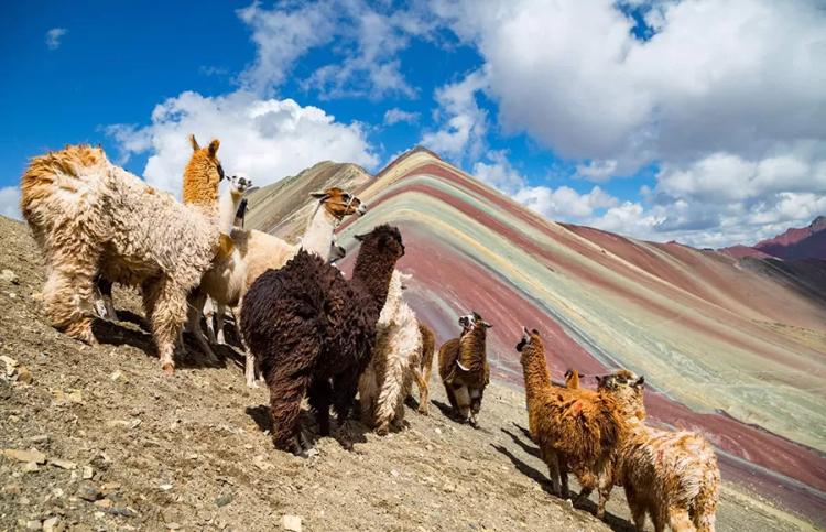 Rainbow Mountain View