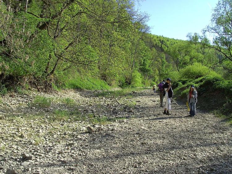 danube sinkhole 5