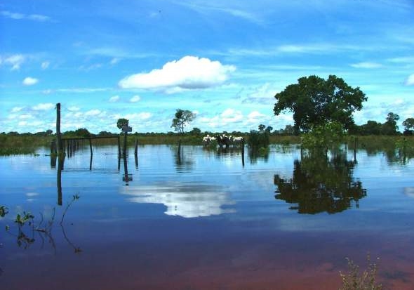 pantanal2