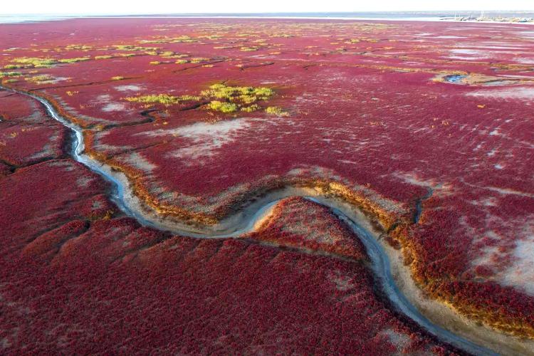 red beach panjin 2 foto getty images