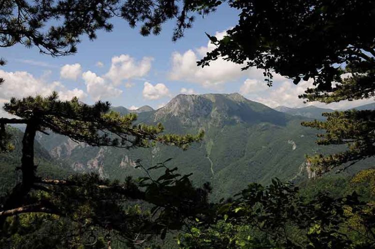 Nacionalni park sutjeska perucica