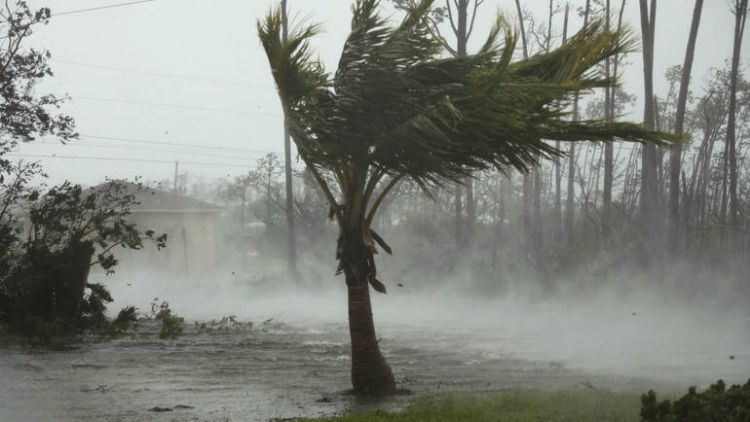 oluje tornado palma foto AP