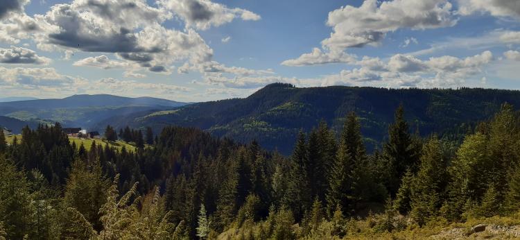 šuma vlašić foto Impuls